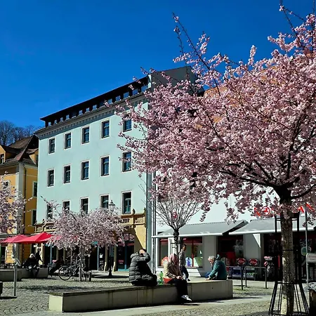 Apartment Cozy Pet-friendly Meissen