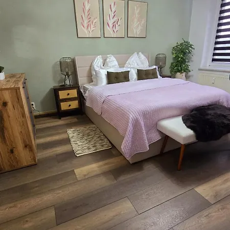 Cozy Pet-friendly * Meissen