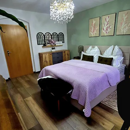 Cozy Pet-friendly Apartment Meissen